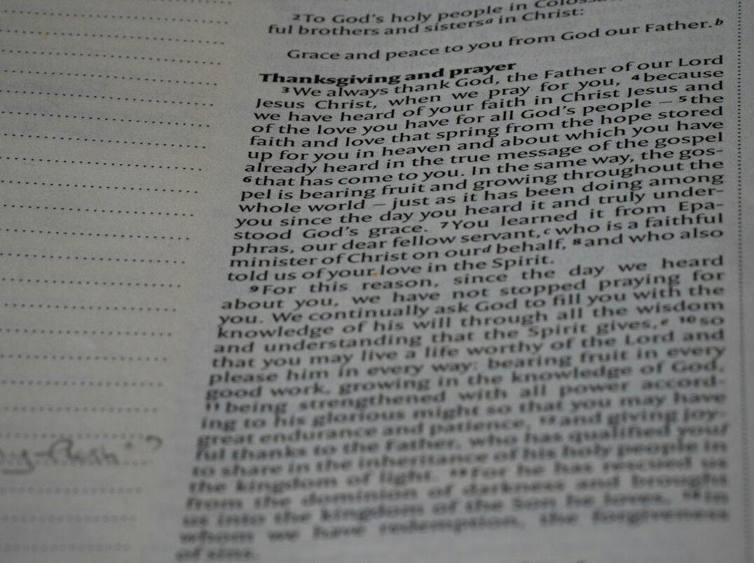 fake historical diary